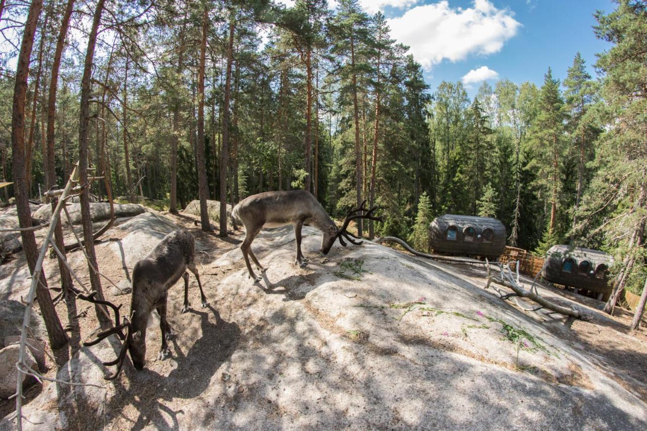 Vila Igluhut - Sleep With Reindeer Espoo Exteriér fotografie