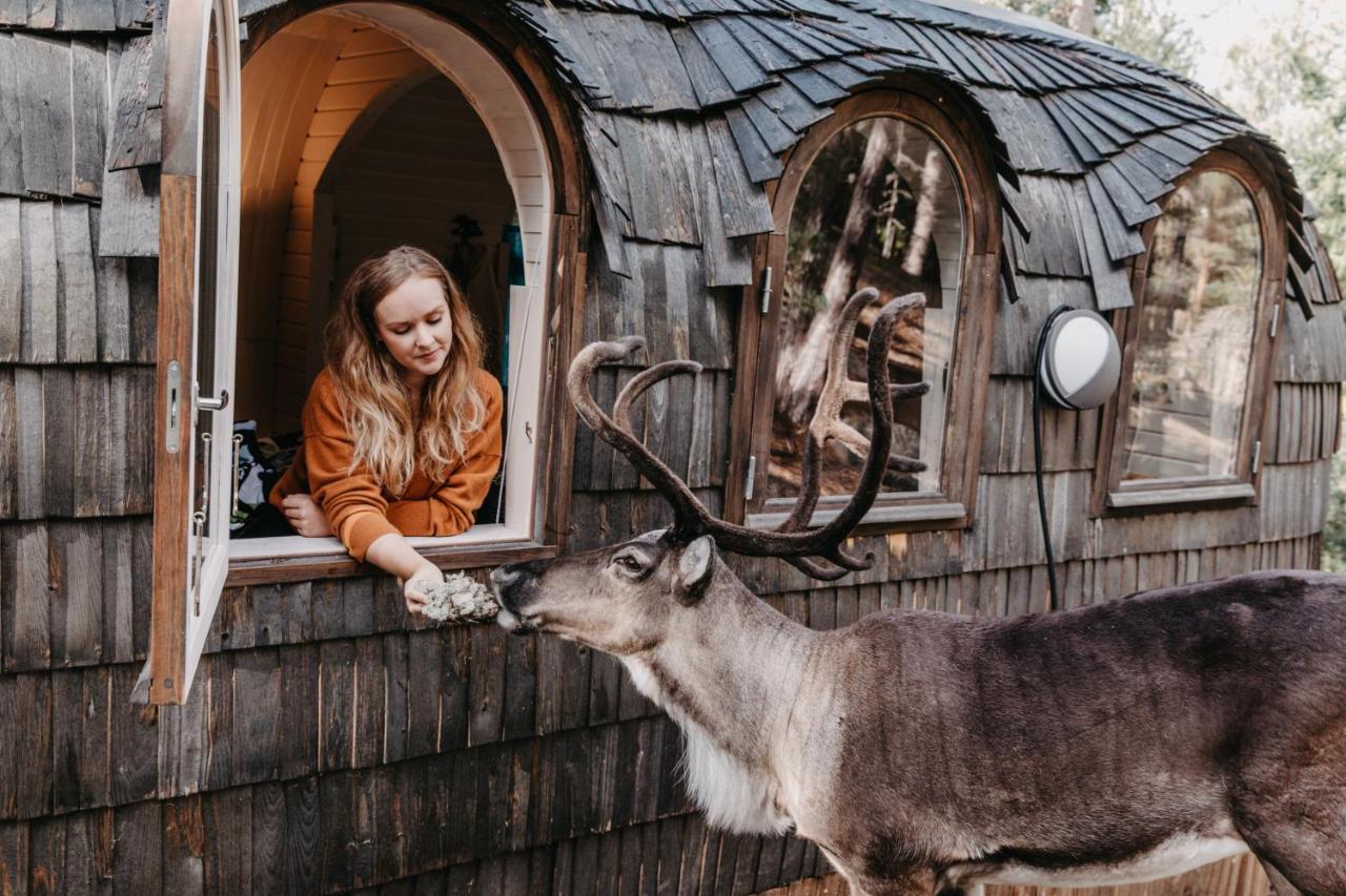 Vila Igluhut - Sleep With Reindeer Espoo Exteriér fotografie