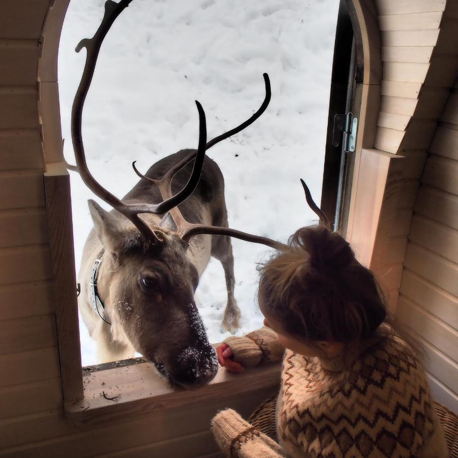 Vila Igluhut - Sleep With Reindeer Espoo Exteriér fotografie