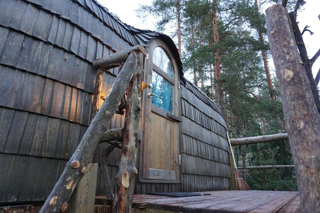 Vila Igluhut - Sleep With Reindeer Espoo Exteriér fotografie